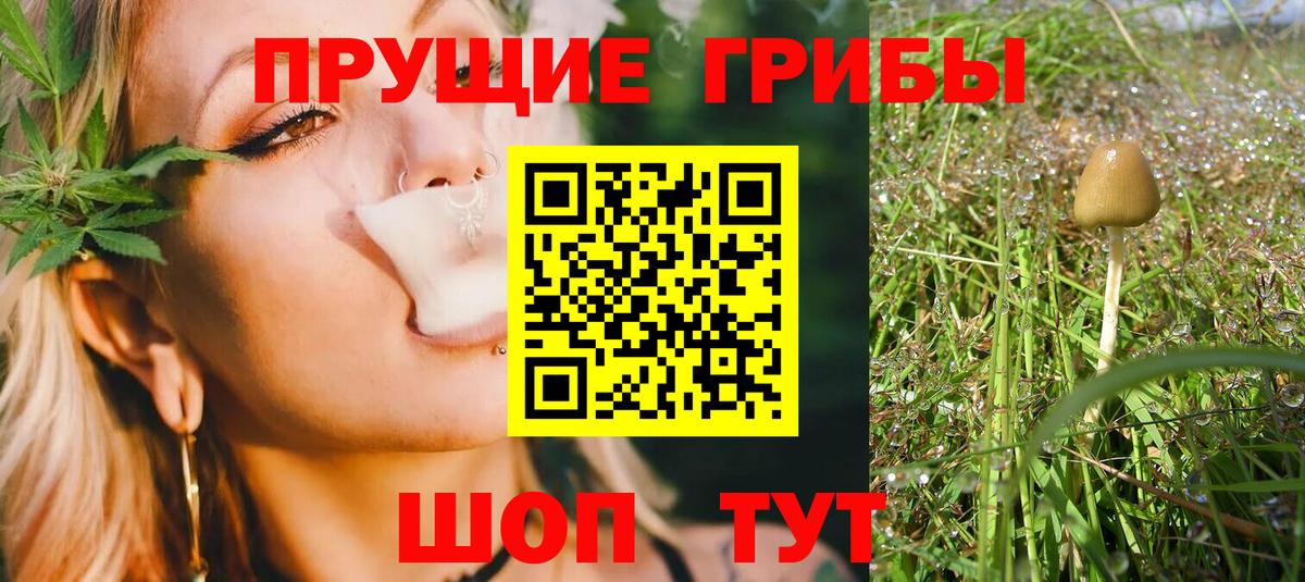 купить наркоту  Галлюциногенные грибы Magic Shrooms  Вход с VPN  Артём 